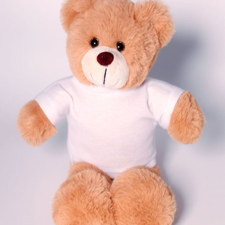 Barnaby Bear with tee Barnaby Bear with tee image 1
