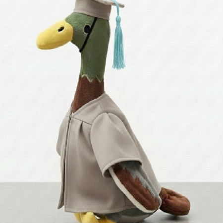 Long Boi Cap and Gown Long Boi Grad Cap and Gown image 1