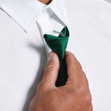 PR755 Premier 'Colours' Satin Clip Tie image 1